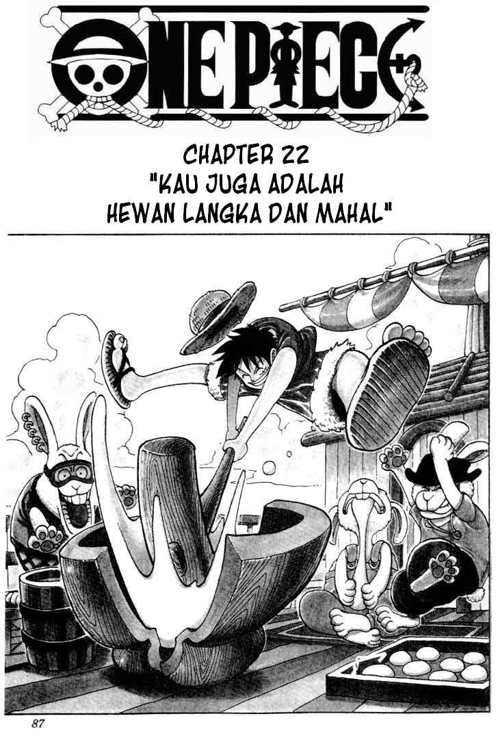 One Piece